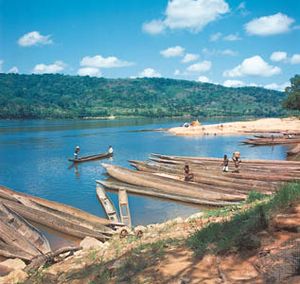 シャリ川．中央アフリカ共和国.jpg
