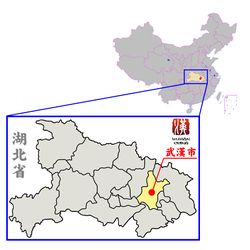 湖北省中の武漢市の位置