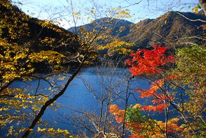 秋の奥多摩湖．秩父多摩甲斐国立公園.jpg