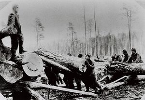 第2次世界大戦後，シベリアの鉄道建設現場で強制労働をさせられる日本人抑留者たち（1948頃）.jpg