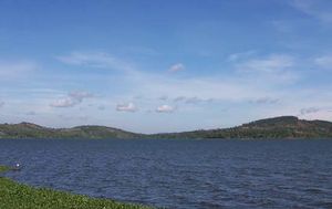 ビクトリア湖．ウガンダ.jpg